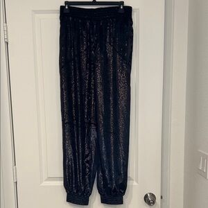 7 For All Mankind Sparkle Jogger Pants